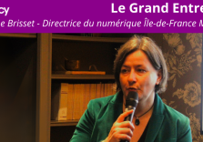 Hélène Brisset, Directrice du numérique